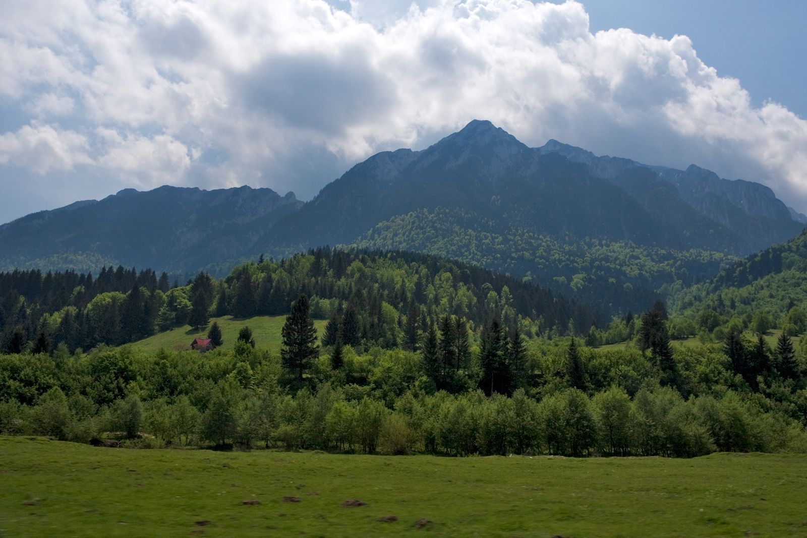 The limestone ridge of Piatra Craiului seen from the road near Zărnești on a clear summer day