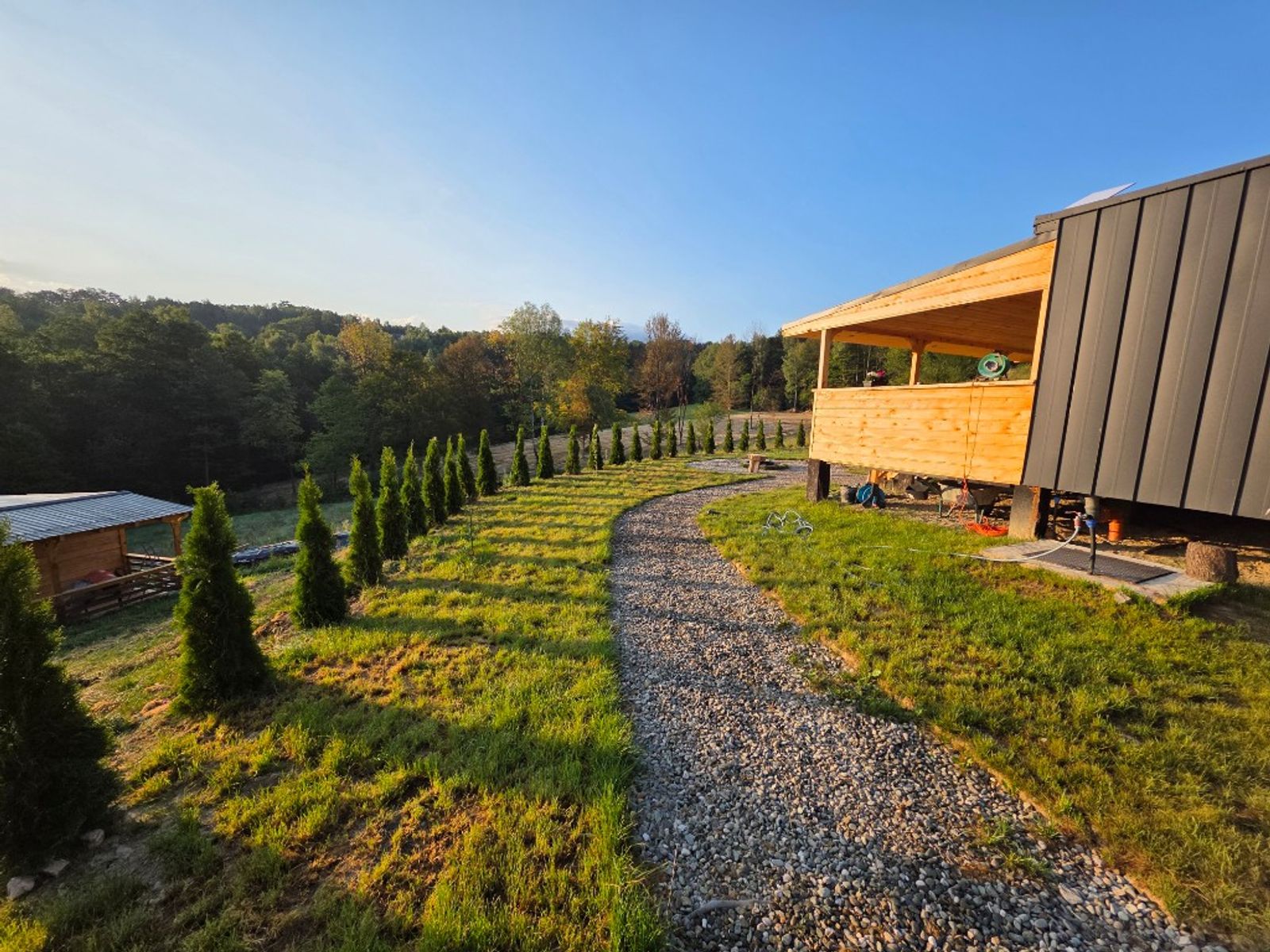 The gravel path up to the cabin, lined with a young hedge, at sunrise